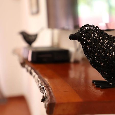 Butterfly Apartments Ливингстън Екстериор снимка