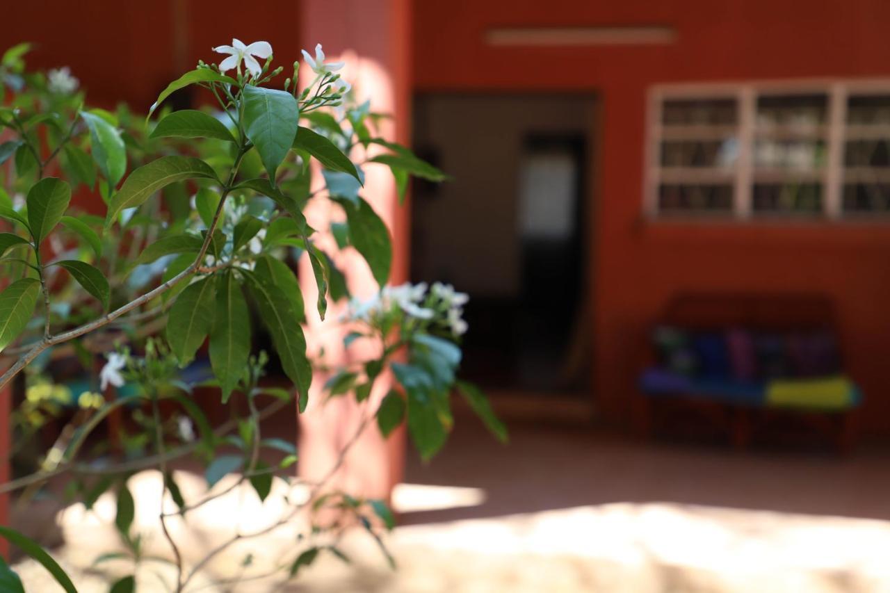 Butterfly Apartments Ливингстън Екстериор снимка